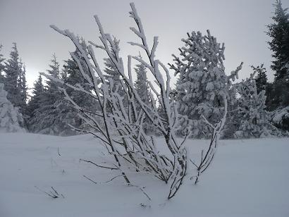 station ski Mont Lozre