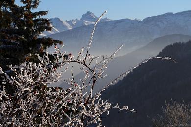 station ski Les Brasses